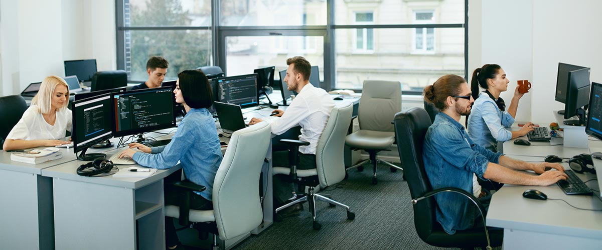 IT-specialists IT-specialists